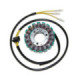 Electrosport Stator Suzuki