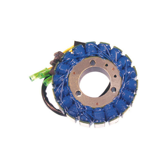 Electrosport Stator Kawasaki