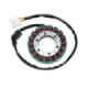 Electrosport Stator Honda CBR900RR 00-01