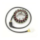 Electrosport Stator Honda CBR1100XX 99-03