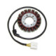 Electrosport Stator Honda CBF1000F 06-12