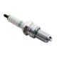 NGK sparkplug DR8ES-L