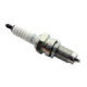 Ngk Sparkplug DPR8Z (4)