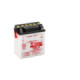 Yuasa Battery YB3L-A (dc) no acid included (10)