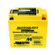 Motobatt battery, MB9U