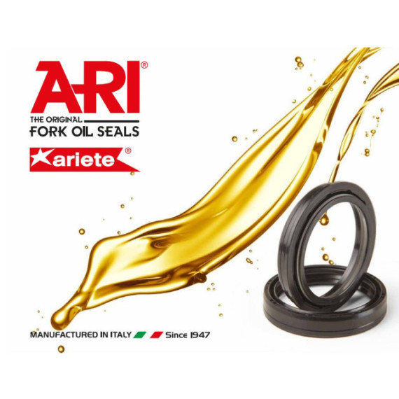 ARI Oil seal, 43 x 54 x 11