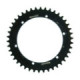 Supersprox / JT Rear sprocket 841.42