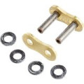 RK GB520GXW Rivet link Gold