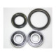 Tourmax Wheel bearing and seal ki 6203-2RS x2 Tätning  25x40x5 1st + 45x56x6 1sn