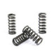 ProX Clutch Spring Kit CRF450R '11-12