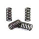 ProX Clutch Spring Kit KTM400/450/530EXC-R '08-11