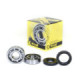 ProX Crankshaft Bearing & Seal Kit YZ80 '82-92