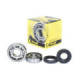 ProX Crankshaft Bearing & Seal Kit YZ80 '93-01 + YZ85 '02-18