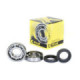 ProX Crankshaft Bearing & Seal Kit YZ125 '79