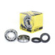 ProX Crankshaft Bearing & Seal Kit YZ125 '80-85