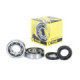 ProX Crankshaft Bearing & Seal Kit YFS200 Blaster '05-06