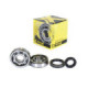 ProX Crankshaft Bearing & Seal Kit RM80 '89-98