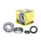 ProX Crankshaft Bearing & Seal Kit RM125 '87-88