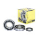 ProX Crankshaft Bearing & Seal Kit RM-Z250 '07-09