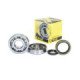 ProX Crankshaft Bearing & Seal Kit RM250 '96-99