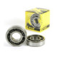 ProX Crankshaft Bearing Kit LT-R450 '06-11