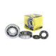 ProX Crankshaft Bearing & Seal Kit KX250 '02