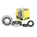 ProX Crankshaft Bearing & Seal Kit KX250 '02