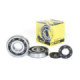 ProX Crankshaft Bearing & Seal Kit KX250 '03-08