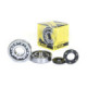 ProX Crankshaft Bearing & Seal Kit KX250 '87-01