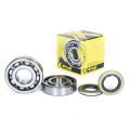 ProX Crankshaft Bearing & Seal Kit KX500 '83-04