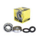 ProX Crankshaft Bearing & Seal Kit KTM85/105SX '03-23