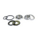 ProX Steering Bearing Kit All KTM125-950 + Husqvarna