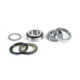 ProX Steering Bearing Kit ATC200X '83-87