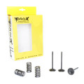 ProX Steel Intake Valve/Spring Kit YZ450F'03-09+WR450F'03-15