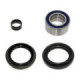 Bronco bearing & sealkit