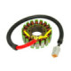 Sno-X Stator Rotax