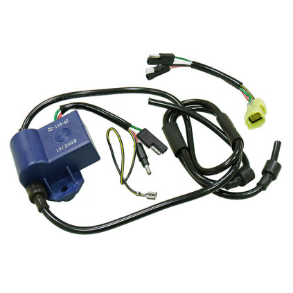 Sno-X CDI Ignition unit Rotax