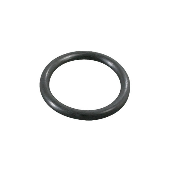 Kimpex O-Ring for windshield 25mm/3,53mm