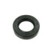 Sno-X Oil seal 25x41,55x10