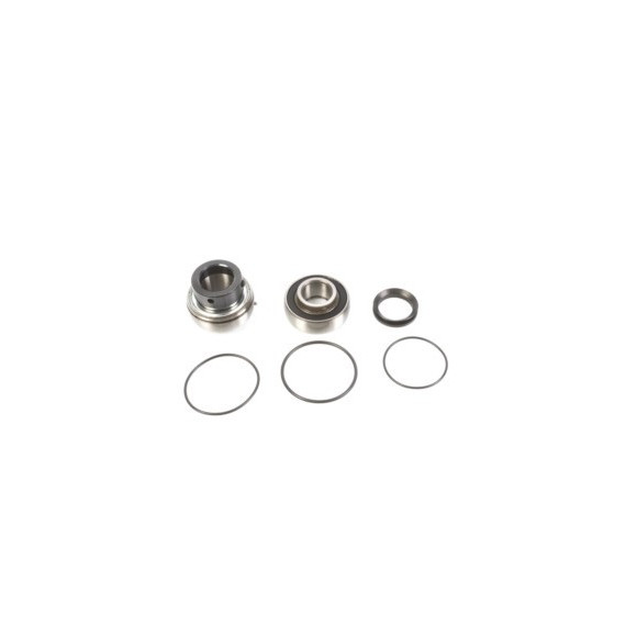 ALL-BALLS Bearing&seal kit Arctic Cat