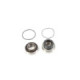 ALL-BALLS Bearing&seal kit Arctic Cat