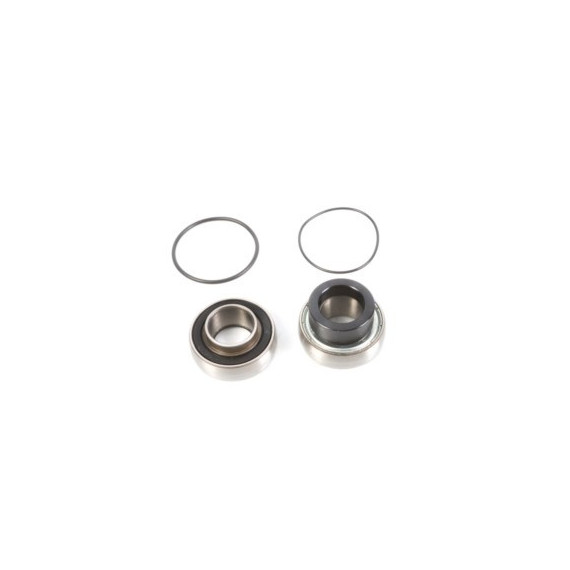 ALL-BALLS Bearing&seal kit Arctic Cat