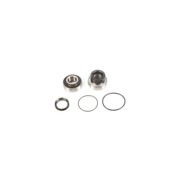 ALL-BALLS Bearing&seal kit Arctic Cat