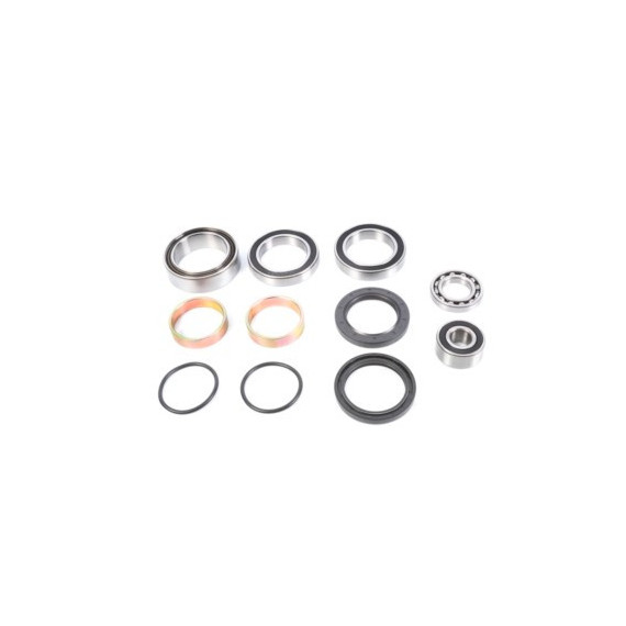 ALL-BALLS Bearing&seal kit Arctic Cat