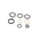 ALL-BALLS Bearing&seal kit Arctic Cat