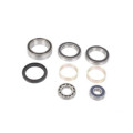 ALL-BALLS Bearing&seal kit Arctic Cat