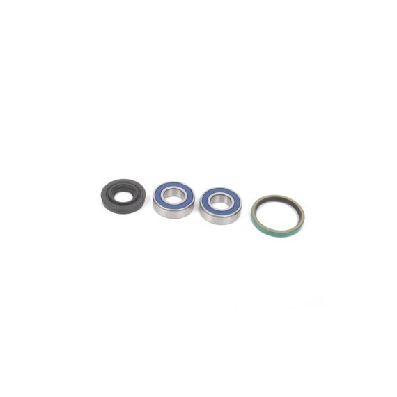 ALL-BALLS Bearing&seal kit Rotax