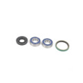 ALL-BALLS Bearing&seal kit Rotax