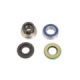 ALL-BALLS Bearing&seal kit Rotax