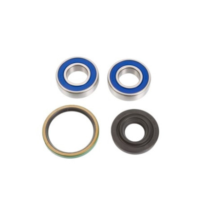 ALL-BALLS Bearing&seal kit Rotax